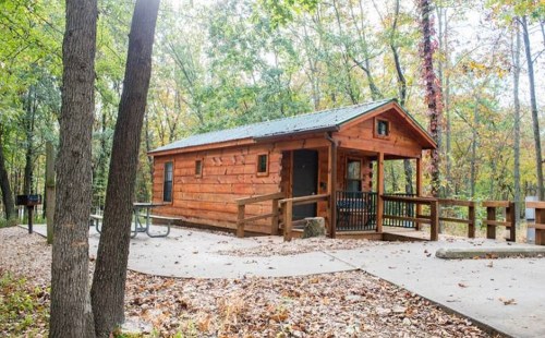 A wooden cabin surrounded by trees, featuring a porch and picnic area in a forested setting.