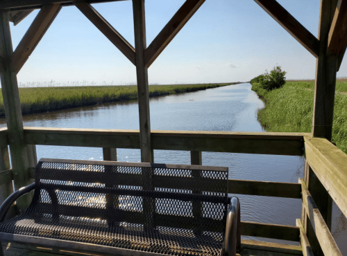 A view from a wooden gazebo overlooking a calm waterway surrounded by tall grass under a clear blue sky.