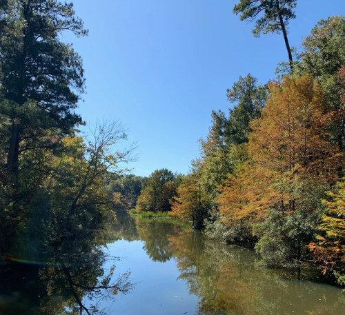 A serene river surrounded by trees displaying autumn colors under a clear blue sky.