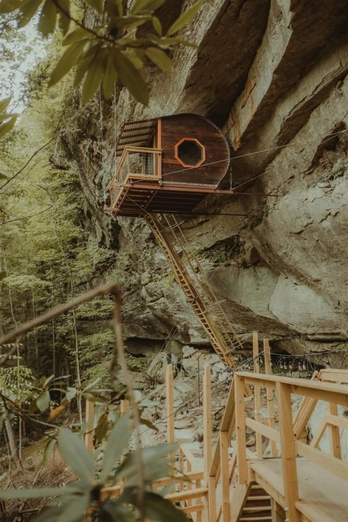 A unique wooden treehouse perched on a cliff, connected by a staircase, surrounded by lush greenery.
