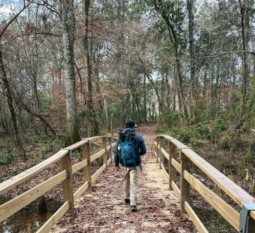 A person walks across a wooden bridge in a forest, surrounded by trees and fallen leaves.