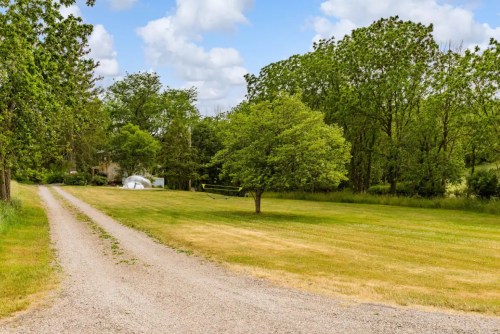 A gravel driveway leads to a grassy area with a tree and a hammock, surrounded by lush greenery and blue skies.