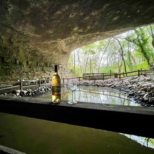 A bottle of wine and a glass sit on a wooden railing overlooking a serene cave and water scene surrounded by greenery.