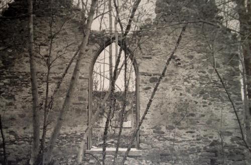 A weathered stone wall with an arched window frame, surrounded by bare trees and overgrown vegetation.