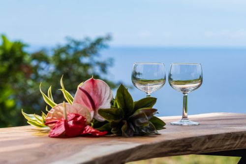 Two elegant glasses sit on a wooden table, surrounded by vibrant tropical flowers and greenery, with a serene ocean view.