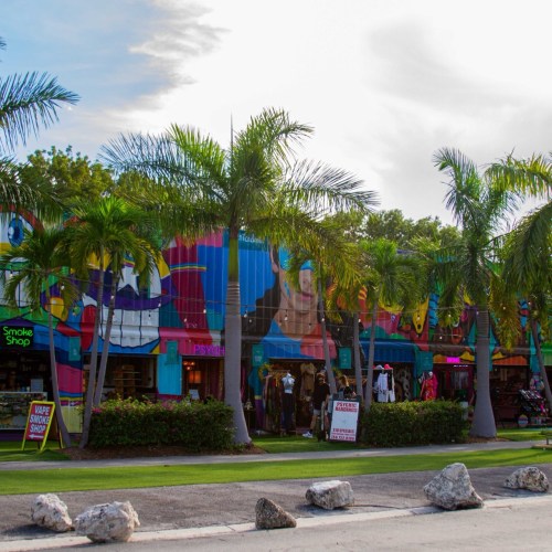 Colorful storefronts surrounded by palm trees on a sunny day, with vibrant murals and clothing displays visible.