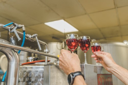 Two hands hold glasses of red liquid, toasting near a stainless steel brewing tank in a bright, industrial setting.