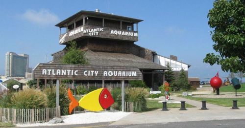 A wooden building with "Atlantic City Aquarium" signage, colorful fish sculptures, and greenery in front.