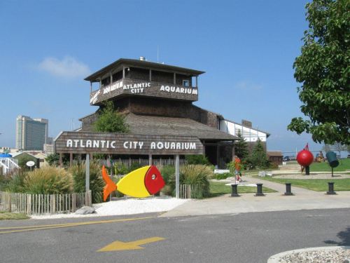 Exterior of the Atlantic City Aquarium, featuring a wooden building and colorful fish sculptures in the foreground.