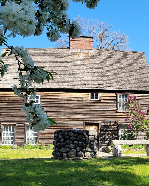 A rustic wooden house with a stone well, surrounded by blooming trees and a clear blue sky.
