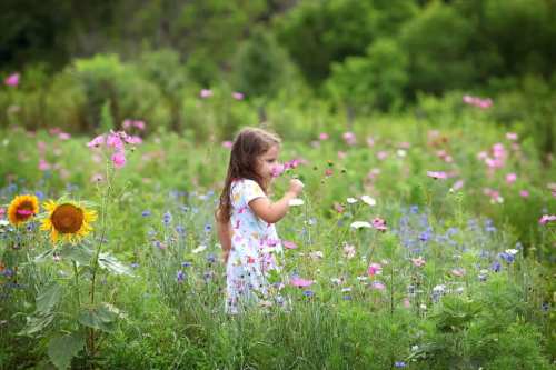 A young girl in a floral dress stands in a vibrant field of wildflowers, enjoying the beauty of nature.