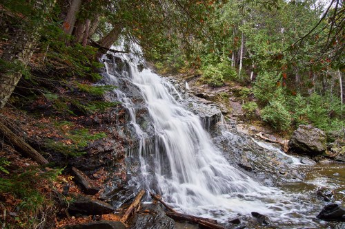 A serene waterfall cascading over rocky terrain, surrounded by lush green trees and foliage.