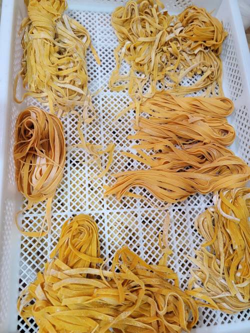 Freshly made pasta strands in various shapes and sizes, arranged on a white drying rack.