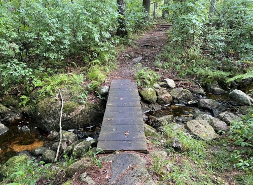 A wooden bridge spans a small stream, surrounded by lush greenery and rocky terrain in a forested area.