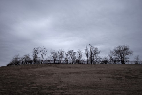 A barren landscape with a gray sky and a line of leafless trees on a hill.