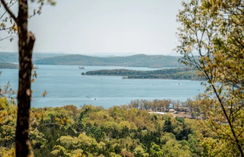 A scenic view of a lake surrounded by lush green trees and distant hills under a clear sky.