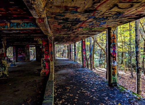 Abandoned structure in a forest, with colorful graffiti on walls and fallen leaves covering the ground.