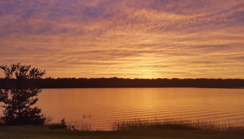 A serene lake at sunset, with vibrant purple and orange skies reflecting on the water's surface.