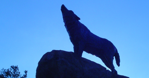 Silhouette of a howling wolf atop a rock against a blue sky.