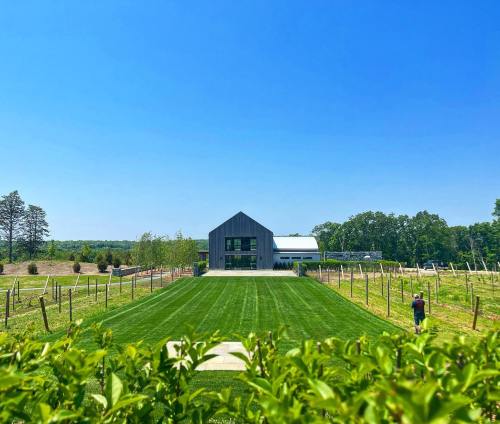A modern barn surrounded by lush green grass and vineyards under a clear blue sky.