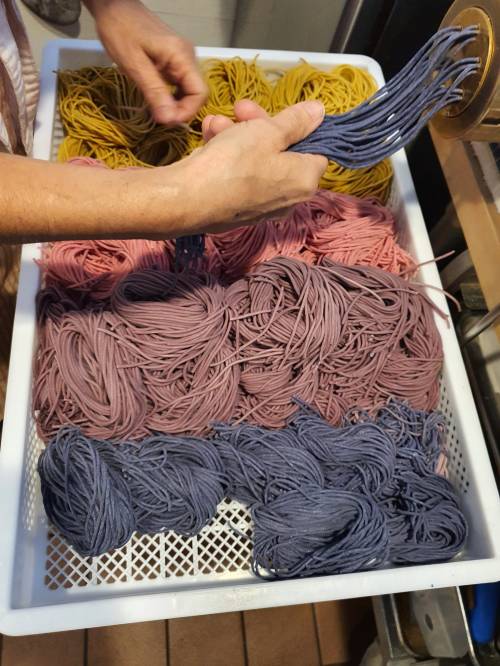 A person’s hand holds strands of colorful pasta, arranged in a basket with various shades of yellow, pink, and blue.