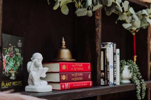 A wooden shelf with books, a decorative statue, and greenery, featuring titles from a popular fantasy series.