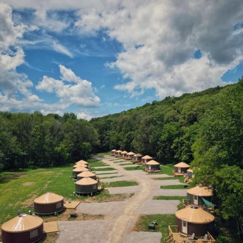 Aerial view of a glamping site with several yurts arranged along a path, surrounded by lush green trees and blue sky.