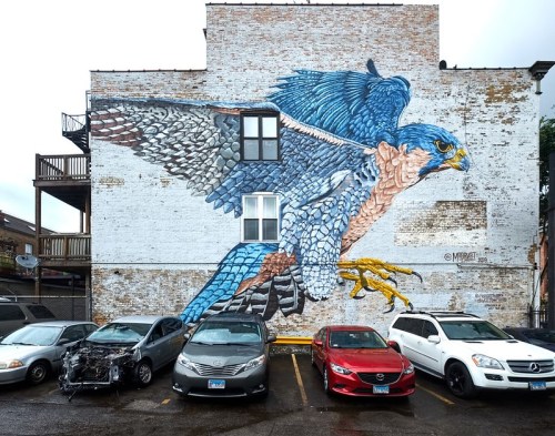 A large mural of a blue and brown hawk spreads its wings on a brick wall above parked cars.