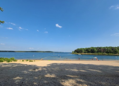 A serene beach scene with clear blue water, sandy shore, and trees under a bright blue sky. People enjoy the water.