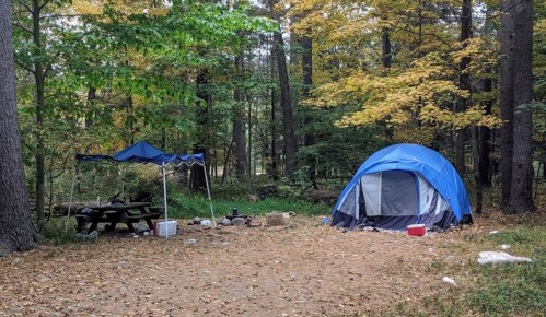 A blue tent set up in a wooded area with a picnic table, cooler, and scattered leaves on the ground.