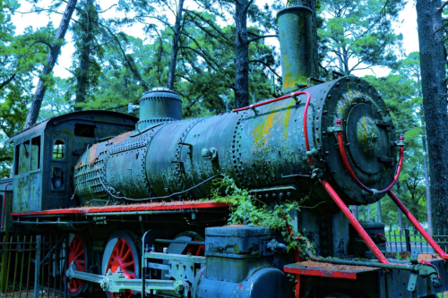 An old, rusted steam locomotive covered in moss, surrounded by tall trees in a forested area.