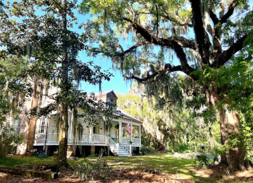 A charming southern-style house surrounded by lush greenery and large trees draped in Spanish moss under a clear blue sky.