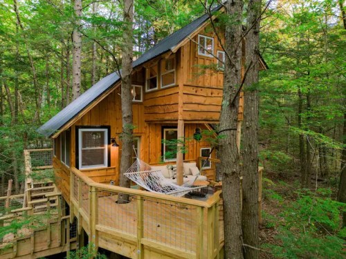 A cozy wooden treehouse nestled among green trees, featuring a hammock on a deck and large windows.