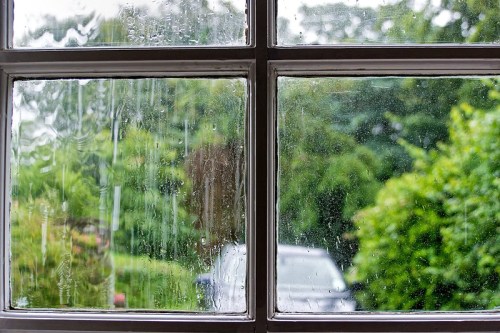 Raindrops streak down a window, with lush greenery visible outside.