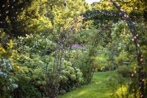 A lush garden path with greenery and flowers, framed by archways adorned with soft glowing lights.