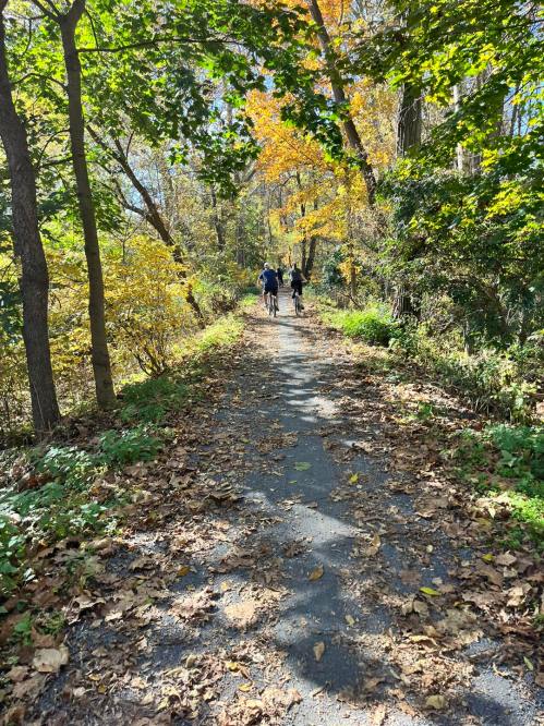 Two people walking on a leaf-covered path surrounded by trees with autumn foliage.