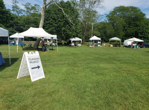 A sunny farmers market with white tents set up on green grass, featuring a sign pointing the way to the market.