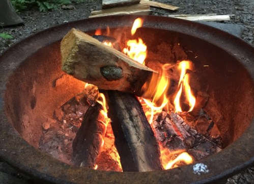 A close-up of a campfire with burning logs and flames in a fire pit, surrounded by gravel and greenery.