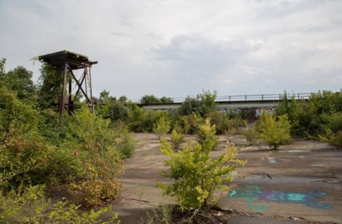 Overgrown concrete area with a rusted tower and a distant highway, under a cloudy sky.