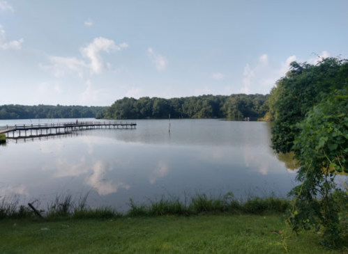 A calm lake reflecting the sky, with a wooden pier and lush greenery along the shore.