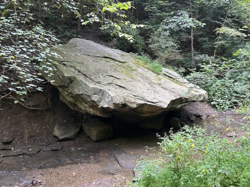 A large, flat rock sits on a stream bank, surrounded by lush greenery and trees in a serene forest setting.