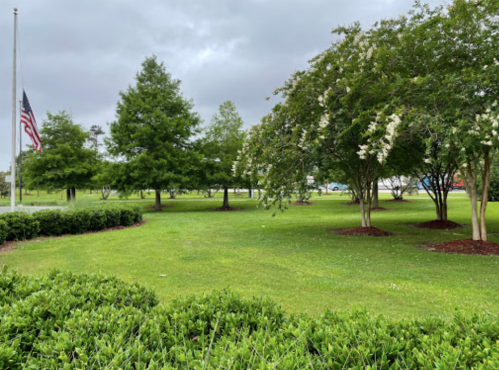 A grassy park with trees and a flagpole, featuring lush greenery and cloudy skies in the background.