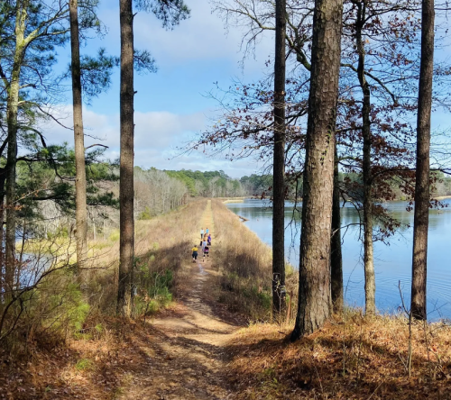 A scenic path lined with trees leads to a calm lake, with people walking along the trail on a sunny day.