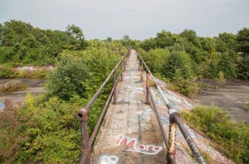 A weathered walkway with graffiti, surrounded by overgrown greenery and trees under a cloudy sky.
