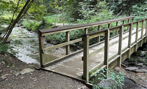 A wooden bridge spans a small creek, surrounded by lush greenery and trees in a serene natural setting.