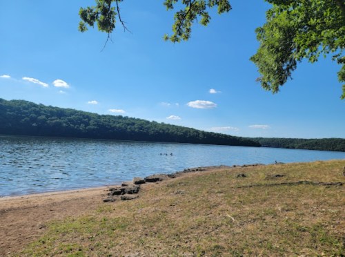 A serene lake surrounded by green hills under a clear blue sky, with a sandy shore and a few ducks in the water.