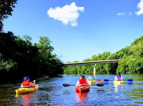 Four people in colorful kayaks paddle down a river under a blue sky with fluffy clouds and lush green trees.