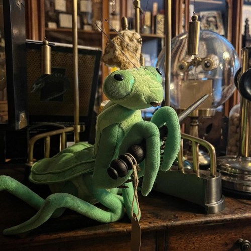 A plush green mantis holding a small tool, surrounded by vintage scientific instruments and curiosities.