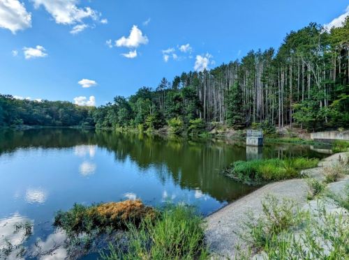 A serene lake surrounded by lush trees and a clear blue sky, reflecting the landscape in calm waters.