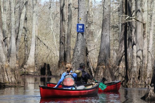 Two people in a red canoe paddle through a serene swamp, surrounded by tall trees and calm water.
